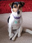 20120622_142520.jpg