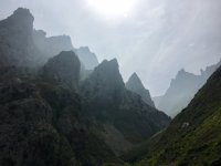 IMG_0557.jpeg