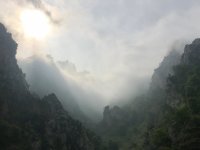IMG_0543.jpeg
