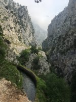 IMG_0544.jpeg