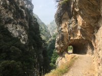 IMG_0547.jpeg