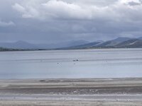 IMG_6669.jpeg