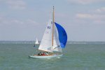 Gurnard 2.jpg
