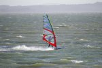 Gurnard 3.jpg