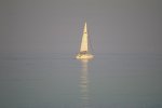 Cowes 4.jpg