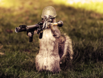 rpg_squirrel_by_jens1011-d5bk2mo.png