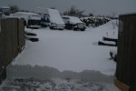 IMG_5244.jpg