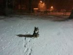 Snow.jpg