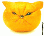 sour-puss-lemon-face.gif