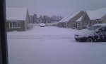 IMAG0906.jpg