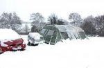 snow.jpg