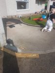 20200520_084732.jpg