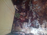 worst bit of floor around fridge area.jpg
