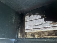 IMG_0519.jpeg