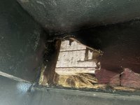IMG_0517.jpeg