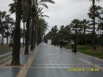 SDC10176.jpg