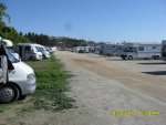 SDC10179.jpg