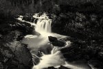 DSC03761.jpg