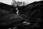 DSC03751.jpg