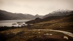 DSC03711.jpg