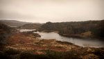 DSC03700.jpg