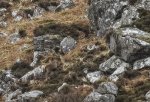 DSC03693.jpg