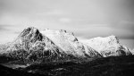 DSC03660.jpg