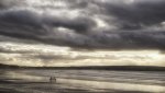 DSC03648.jpg