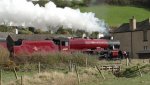 DSC00785.jpg