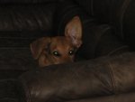 IMG_1694.jpg
