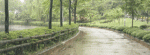 n12.gif