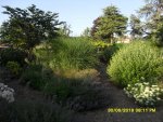 SDC10314.jpg
