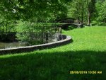 SDC10178.jpg