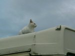 frosty lookout.jpg
