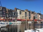 IMG_0411.jpg