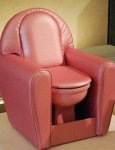 fancy-toilet.jpg