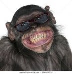 monkey 1.jpg