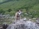 Tess @ Loch Etive.jpg