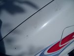Oily marks on wing.jpg