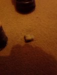 20171028_191351.jpg