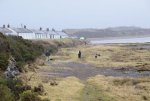 Powfoot beach & dog walkers.jpg