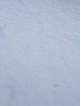FA9585E1-A692-4D16-BCDD-3E3A513B9044.jpg