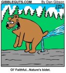 676c66b1fde9d4935658d006e3de6c68--bidet-faithful.jpg