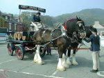 SetWidth600-Abbey-Grange-Brewers-Dray.jpg