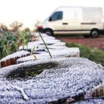 D712D1B7-8DEF-4409-A29C-25B3FE0D85DD.jpg D712D1B7-8DEF-4409-A29C-25B3FE0D85DD.jpg