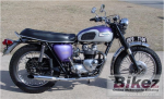triumph tiger 100.png