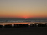 IMG_20200205_185335.jpg