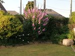 IMG_20200601_192846.jpg
