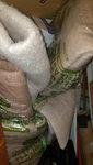 20200906_131318.jpg