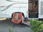 DSC00473.jpg